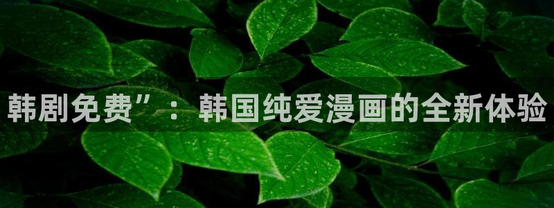 香蕉漫画免费漫画：韩剧免费”：韩国纯爱漫画的全新体验
