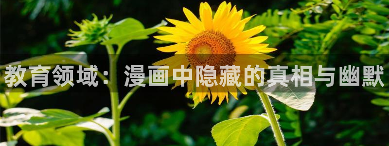 香蕉文化漫画书免费观看：教育领域：漫画中隐藏的真相与幽默