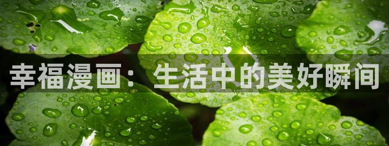 香蕉漫画网站在线入口：幸福漫画：生活中的美好瞬间