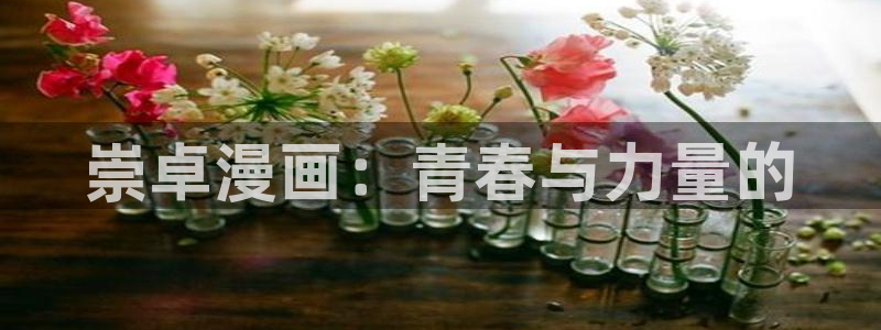 香蕉小漫画：崇卓漫画：青春与力量的